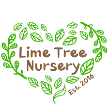 Lime Tree Nursery