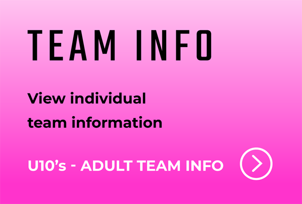 Team Info